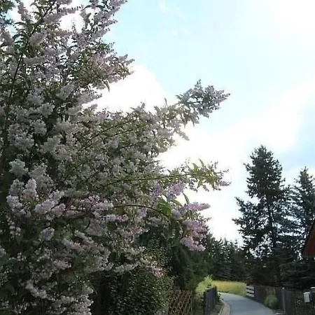 Maennel By Interhome Дом отдыха *