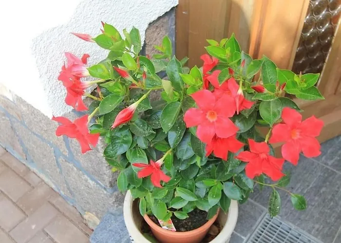 Vakantiehuis Maennel By Interhome Auerbach (Vogtland)