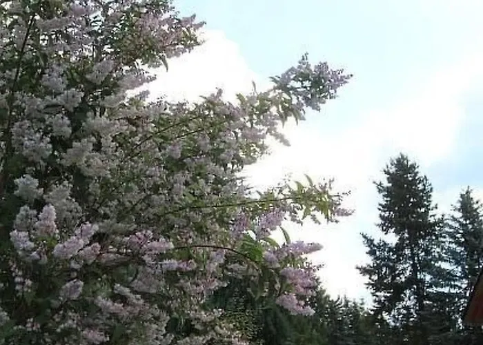 Maennel By Interhome Vakantiehuis *