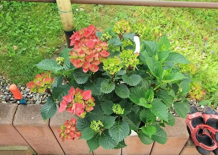 Vakantiehuis Maennel By Interhome Auerbach (Vogtland)